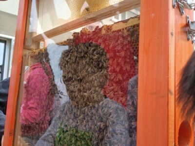 PHOTO 2023 04 22 22 08 42