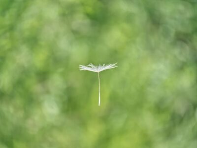 wolfgang hasselmann GK9kkPIZyAs unsplash