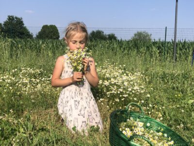 IMG 9695 scaled e1680618174613