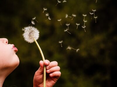 ivan dostal z6ZPLcDTKOY unsplash