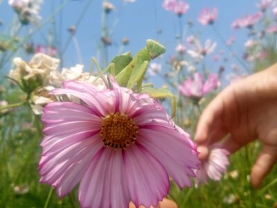 PHOTO 2024 07 31 11 52 21