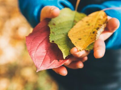 markus spiske DzgLAZXNFRo unsplash scaled