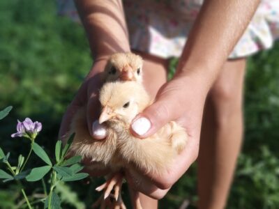 IMG 20230818 100918 653 PORTRAIT scaled