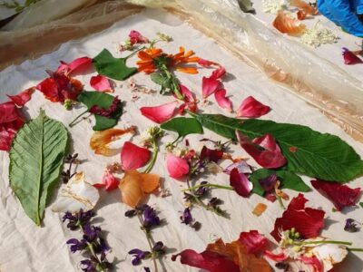 Screenshot 2023 07 28 10 15 08 698 com.instagram.android