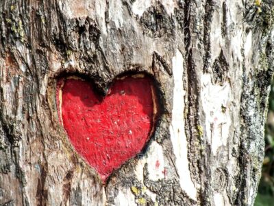 chandan chaurasia PBW5ZyPiOA unsplash 1 scaled