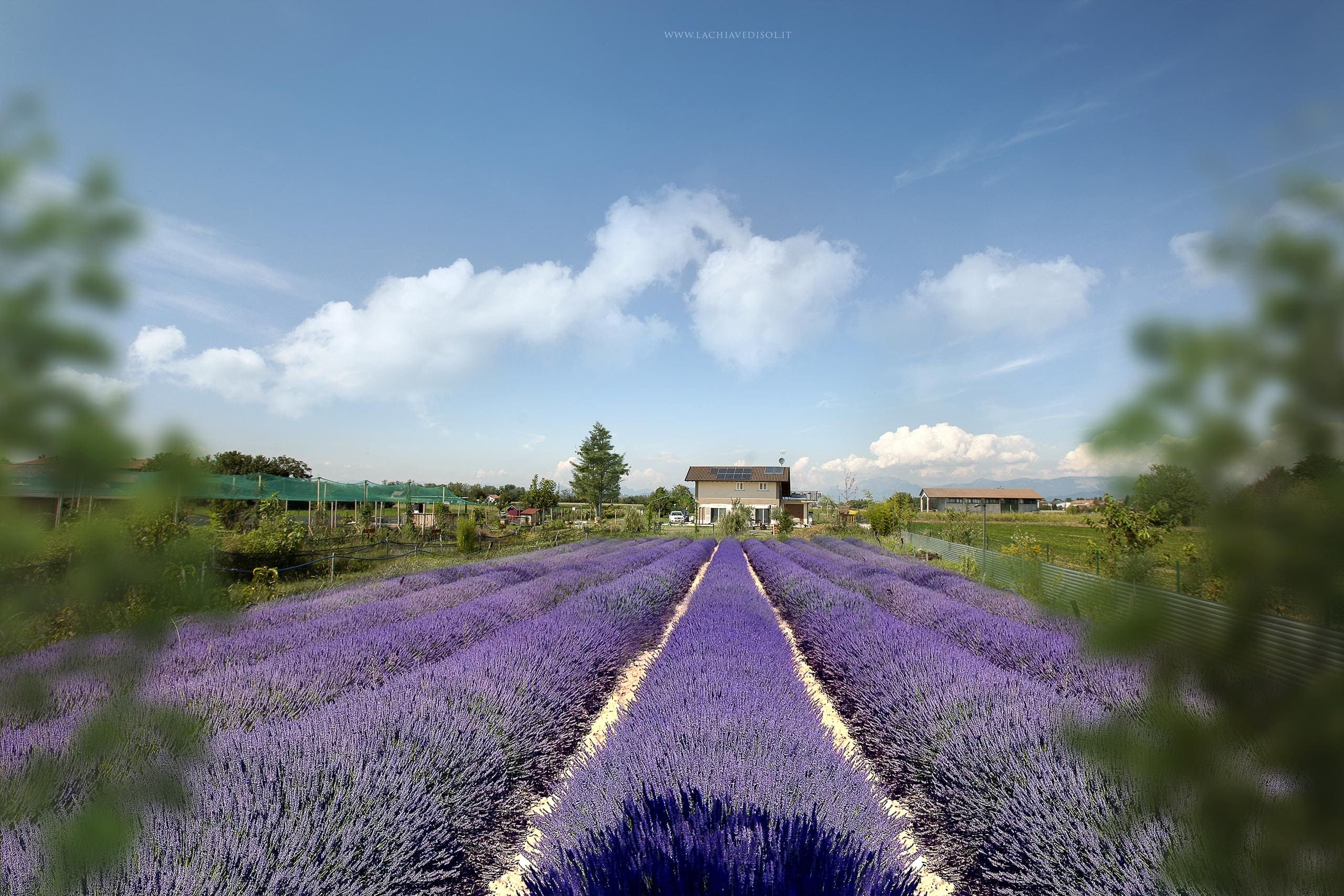 chiavedisol0659 orizzontale