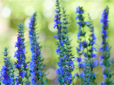 DOC050325 05032025114725.pdf 2