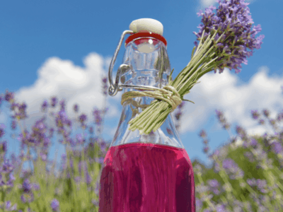 Progetto senza titolo 27