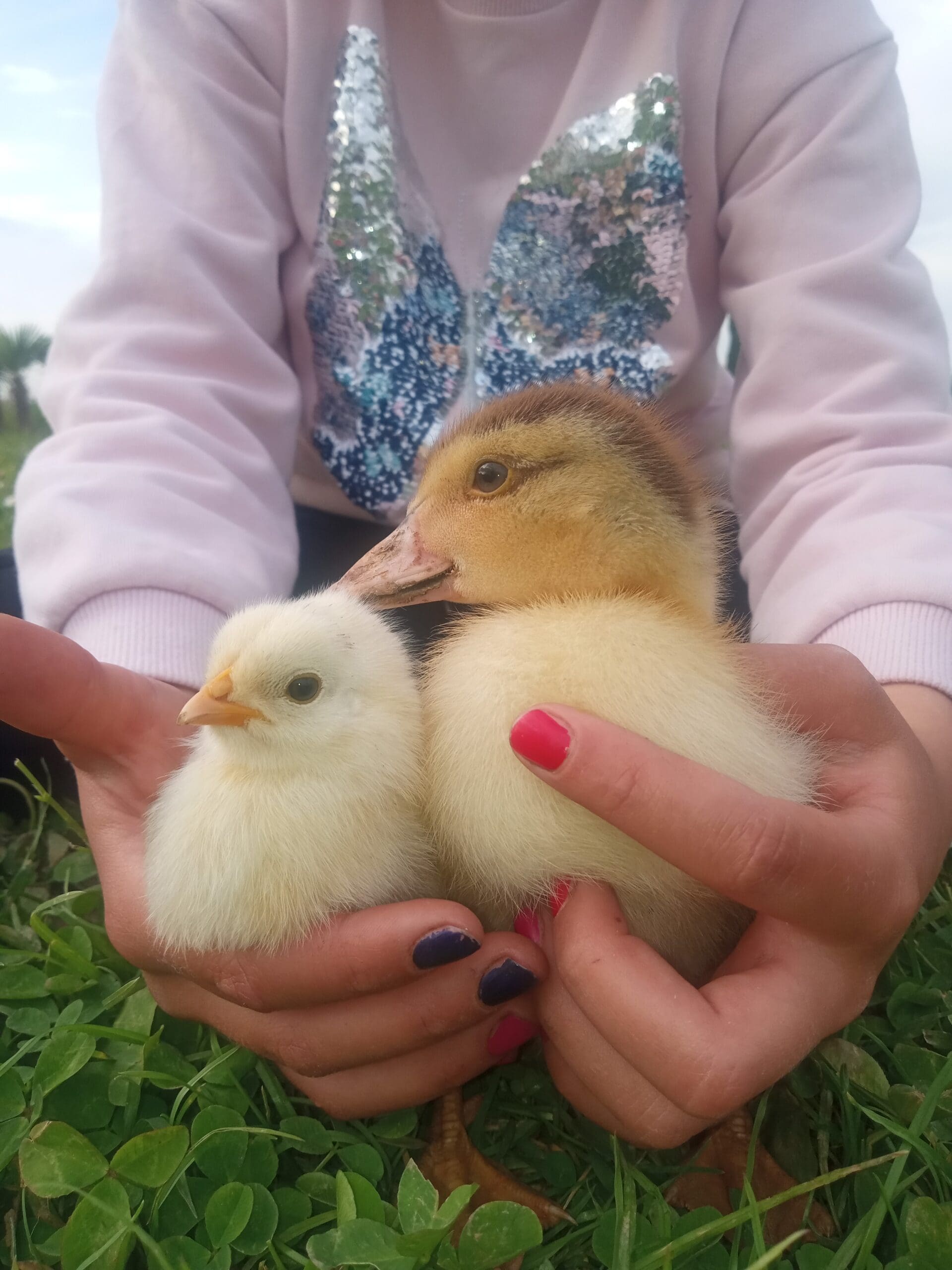 IMG 20240429 181520 332 scaled