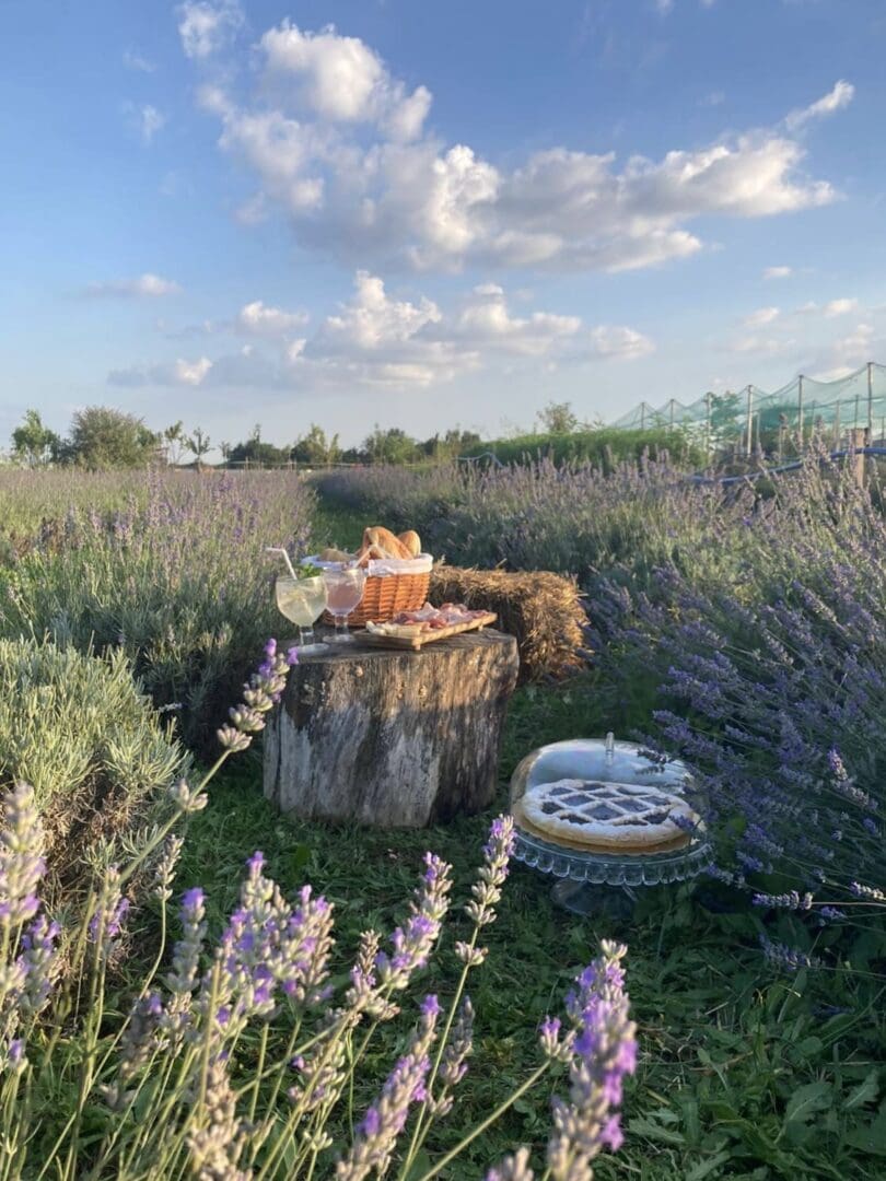 cf045041 6cbf 4918 be34 0b889d648ee3