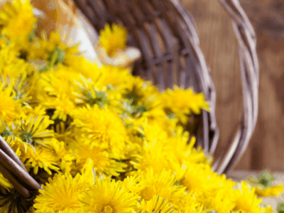 Progetto senza titolo 24