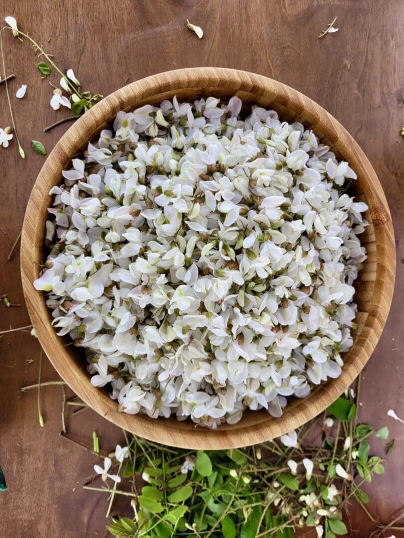 6ed2b4bd c831 45e2 b669 039897cb3f12