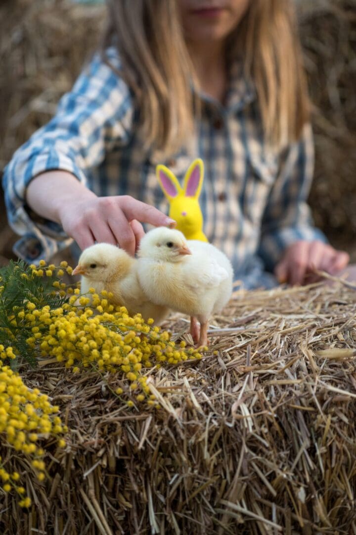 PARCOFATE2024 212 scaled