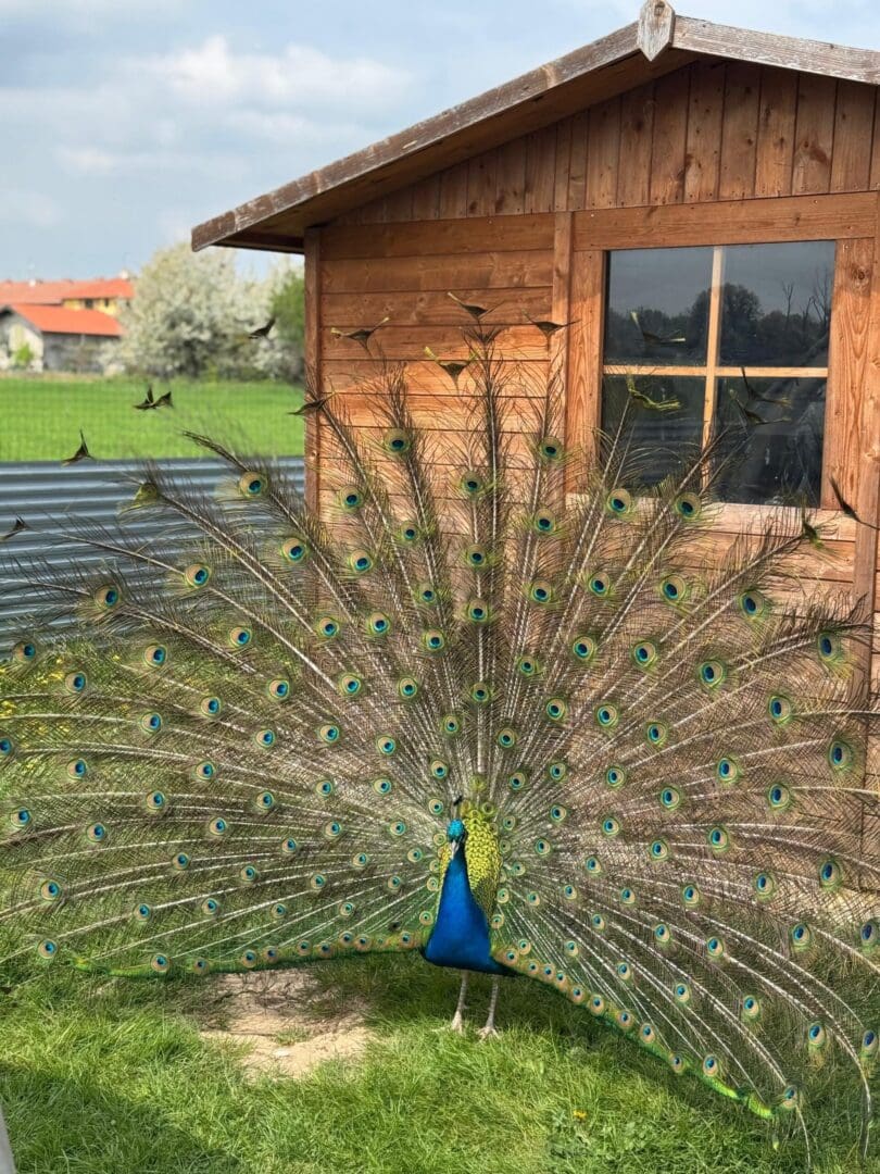 PHOTO 2025 04 13 09 42 23 scaled