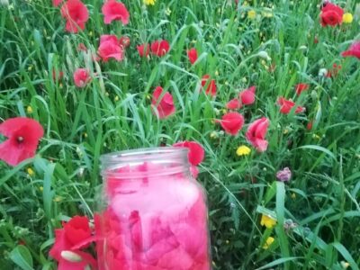 PHOTO 2025 05 23 17 22 14