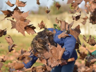 renaud confavreux Rbf 4j r3tc unsplash scaled