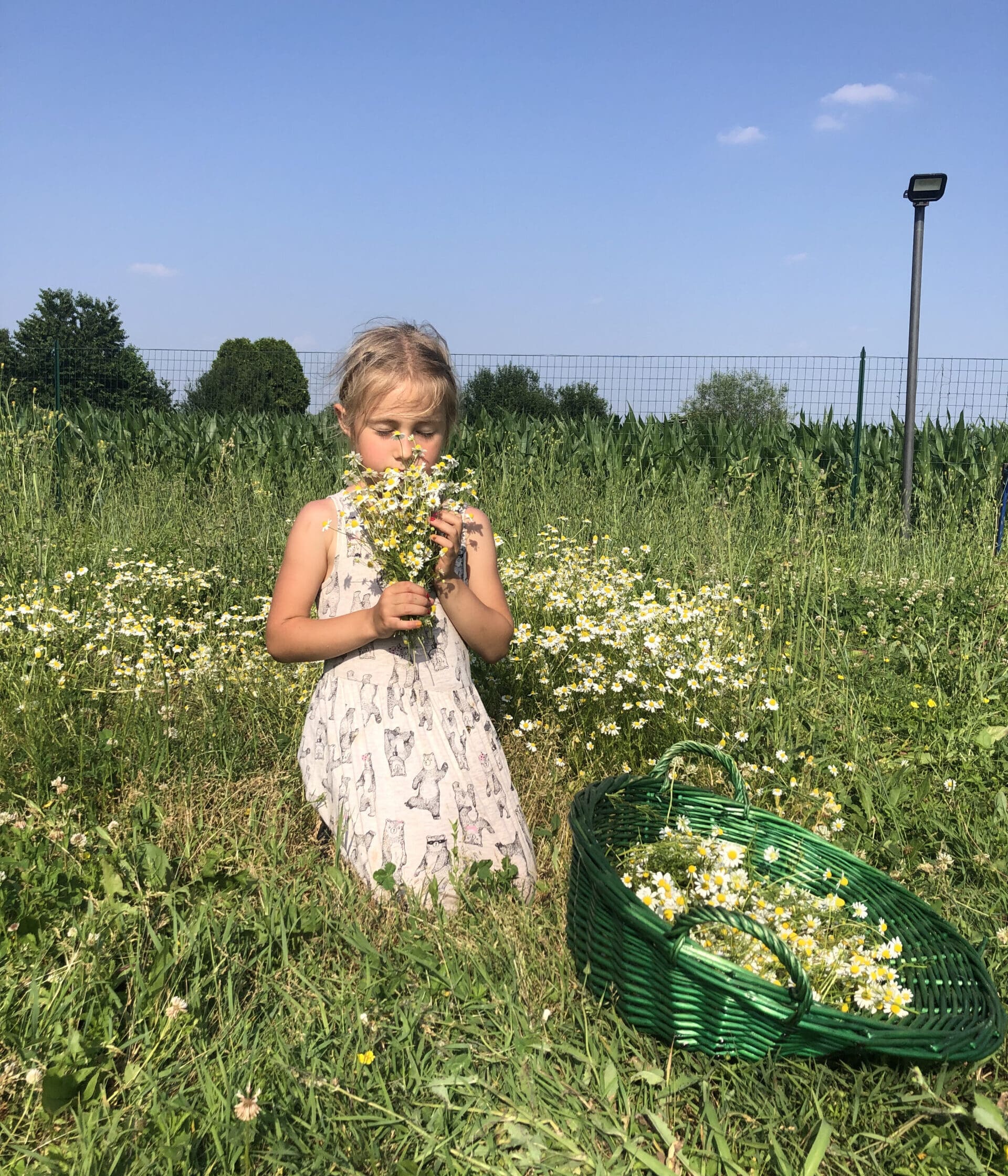 IMG 9695 scaled e1680618174613 lqfzZq