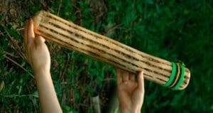 Strumenti musicali naturali