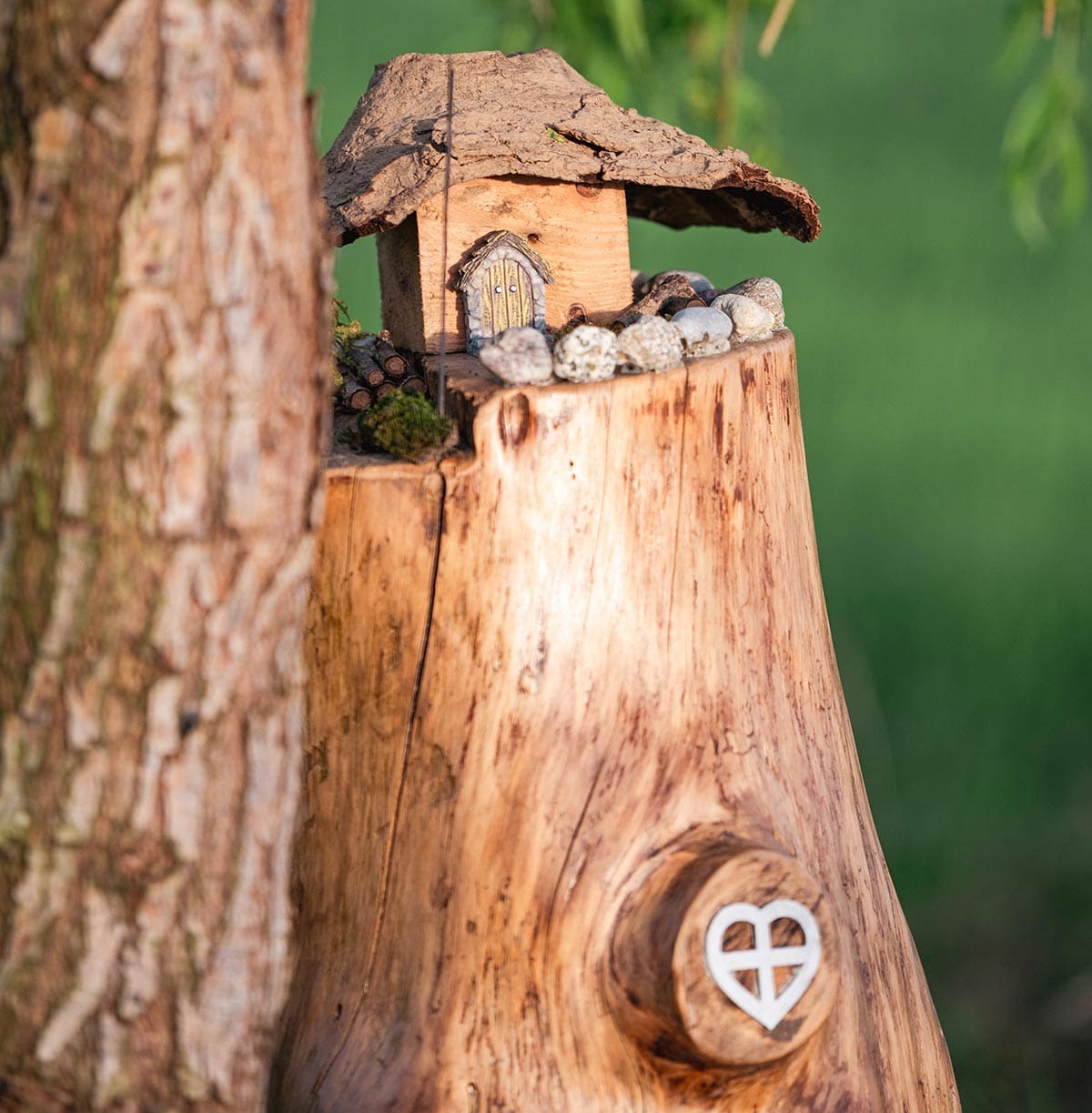 Chiave di Sol Fattoria didattica parco fate primavera 24 90